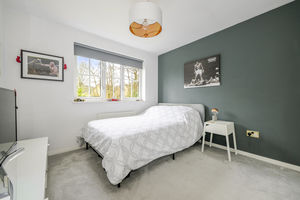 Photo 11- click for photo gallery